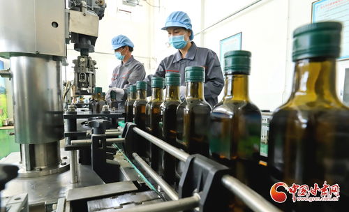 高臺縣 以礦物加工思維賦能農產品精深加工產業鏈升級